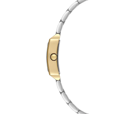 USPA2107-02
