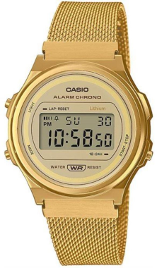  CASIO A171WEMG-9ADF Kol Saati