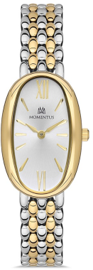  MOMENTUS CW254T-02SG Kol Saati