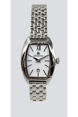  MOMENTUS CW310S-09SS Kol Saati