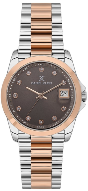  DANIEL KLEIN DK.1.13830-6 Kol Saati